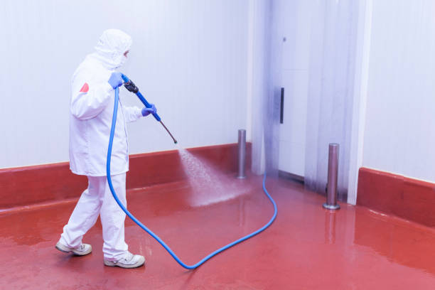 Best Roof Washing  in Noblesville, IN